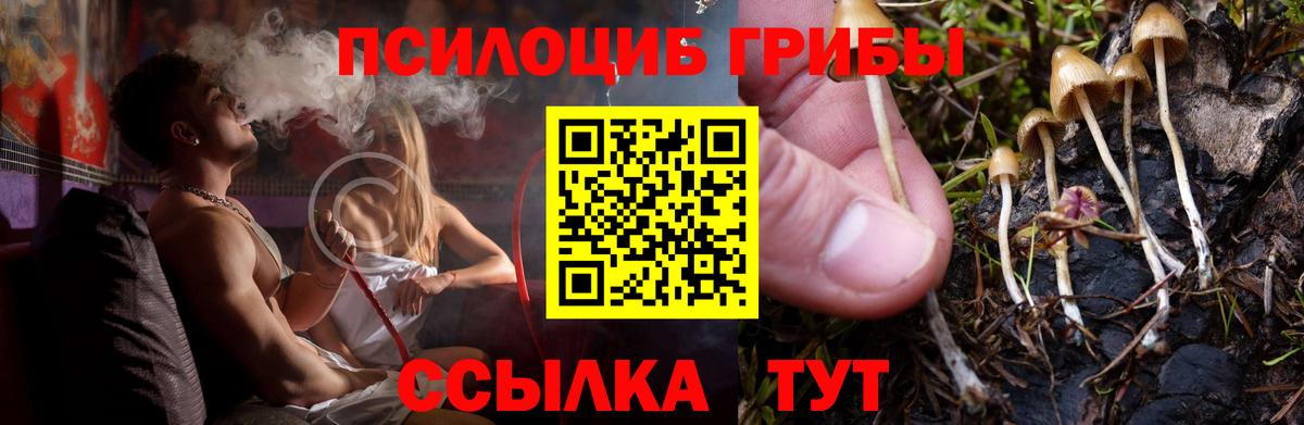 Псилоцибиновые грибы Psilocybine cubensis  Вход с VPN  Волхов 